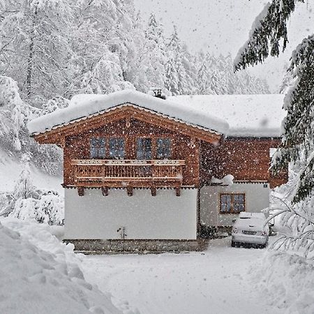 Ferienwohnung Steiner Wald im Pinzgau Esterno foto