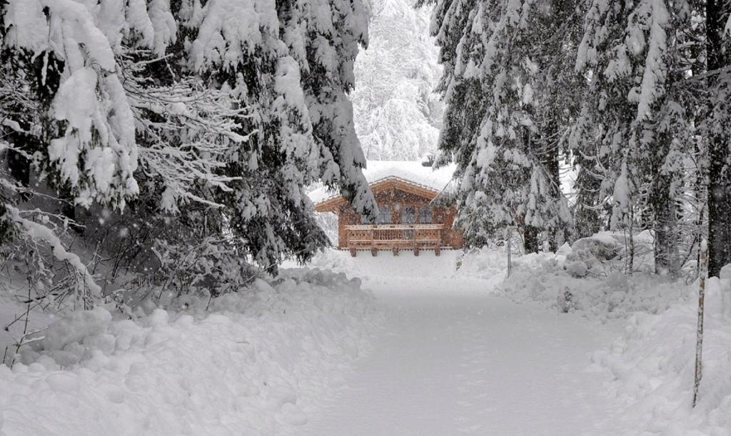 Ferienwohnung Steiner Wald im Pinzgau Esterno foto