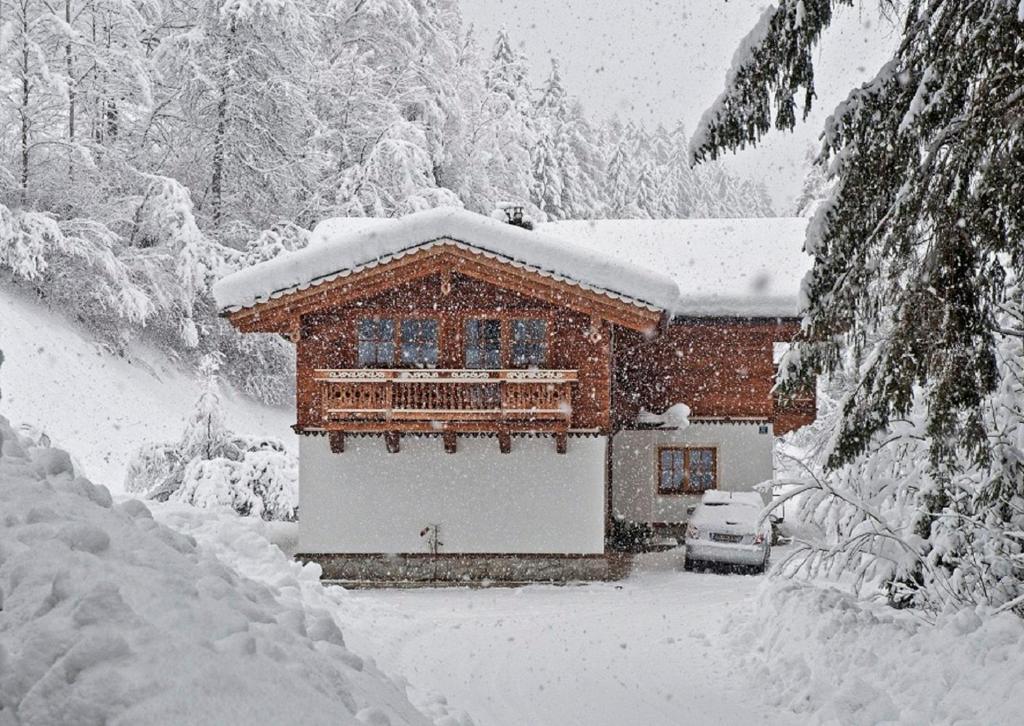Ferienwohnung Steiner Wald im Pinzgau Esterno foto
