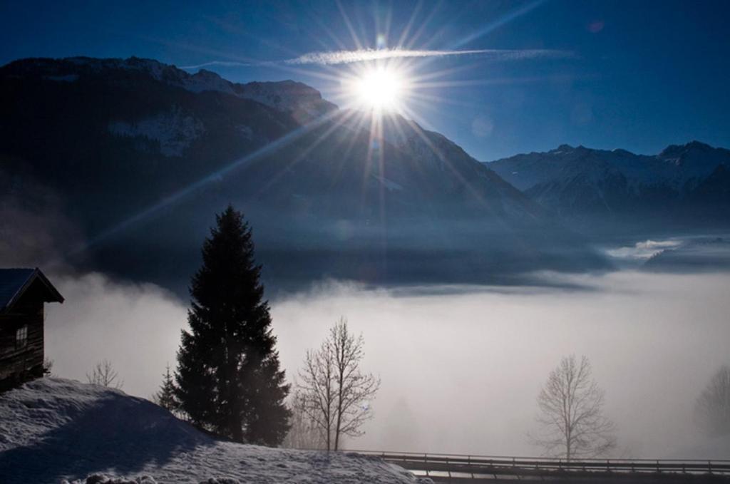 Ferienwohnung Steiner Wald im Pinzgau Esterno foto